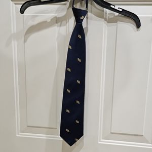 Blue and yellow FFA tie